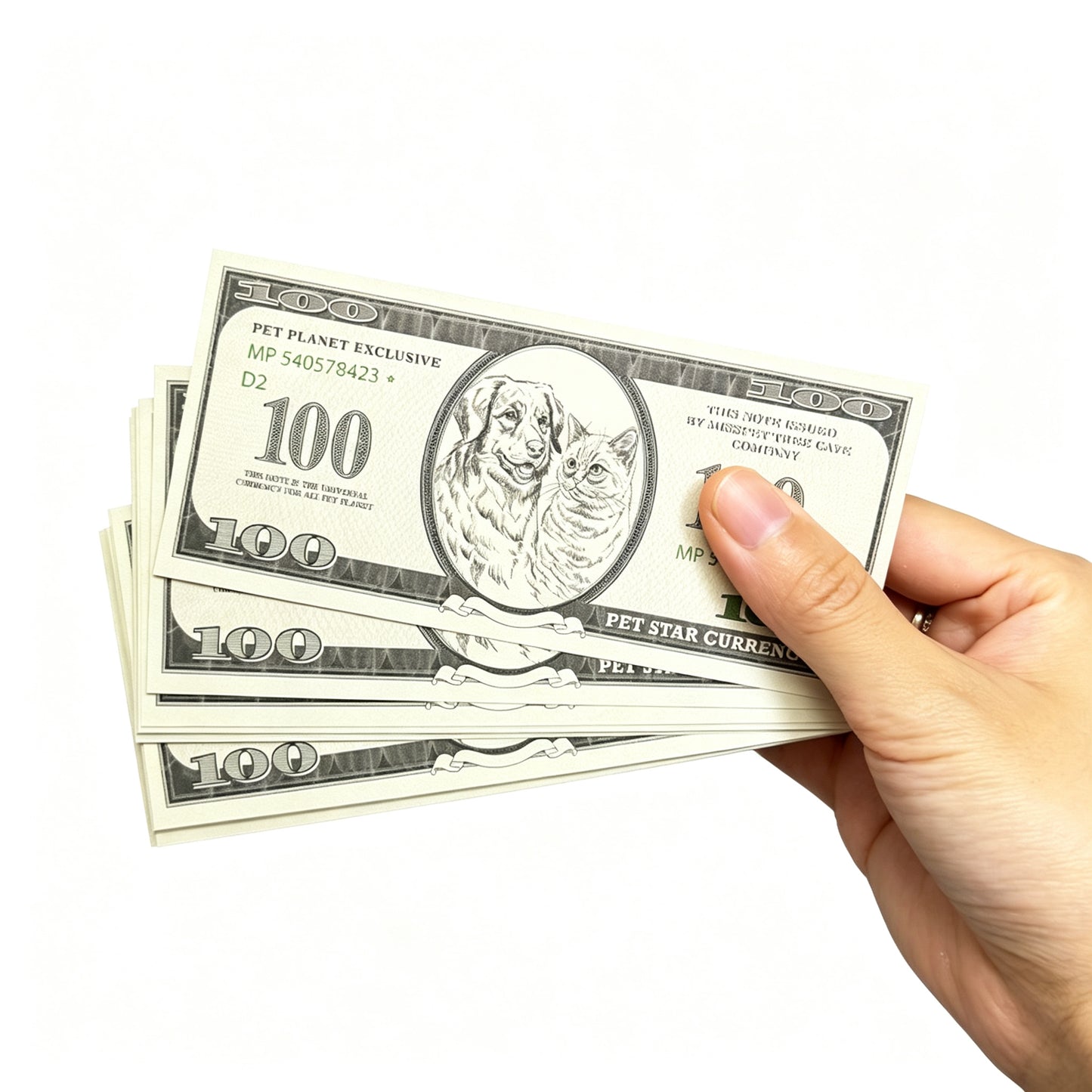 Pet funeral supplies, cat and dog memorial items, handmade imitation paper money